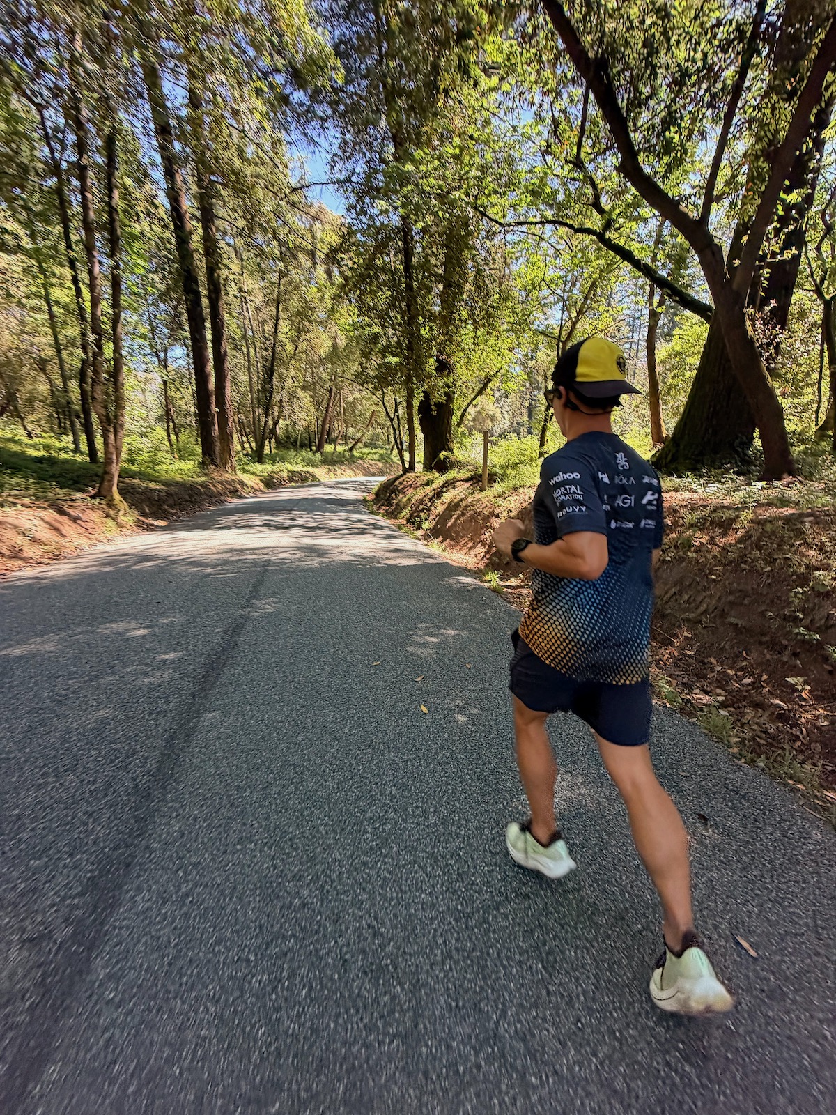 Running in the Santa Cruz Mountains